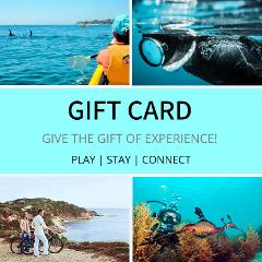 Gift Card $120