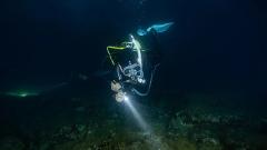 Night Diving (Certified Divers)