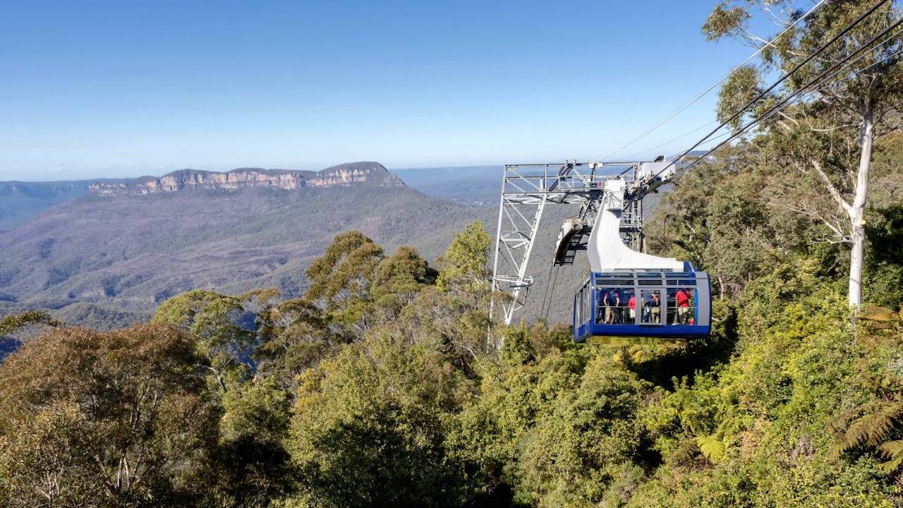 Diamond Tours Blue Mountains All Inclusive Tour