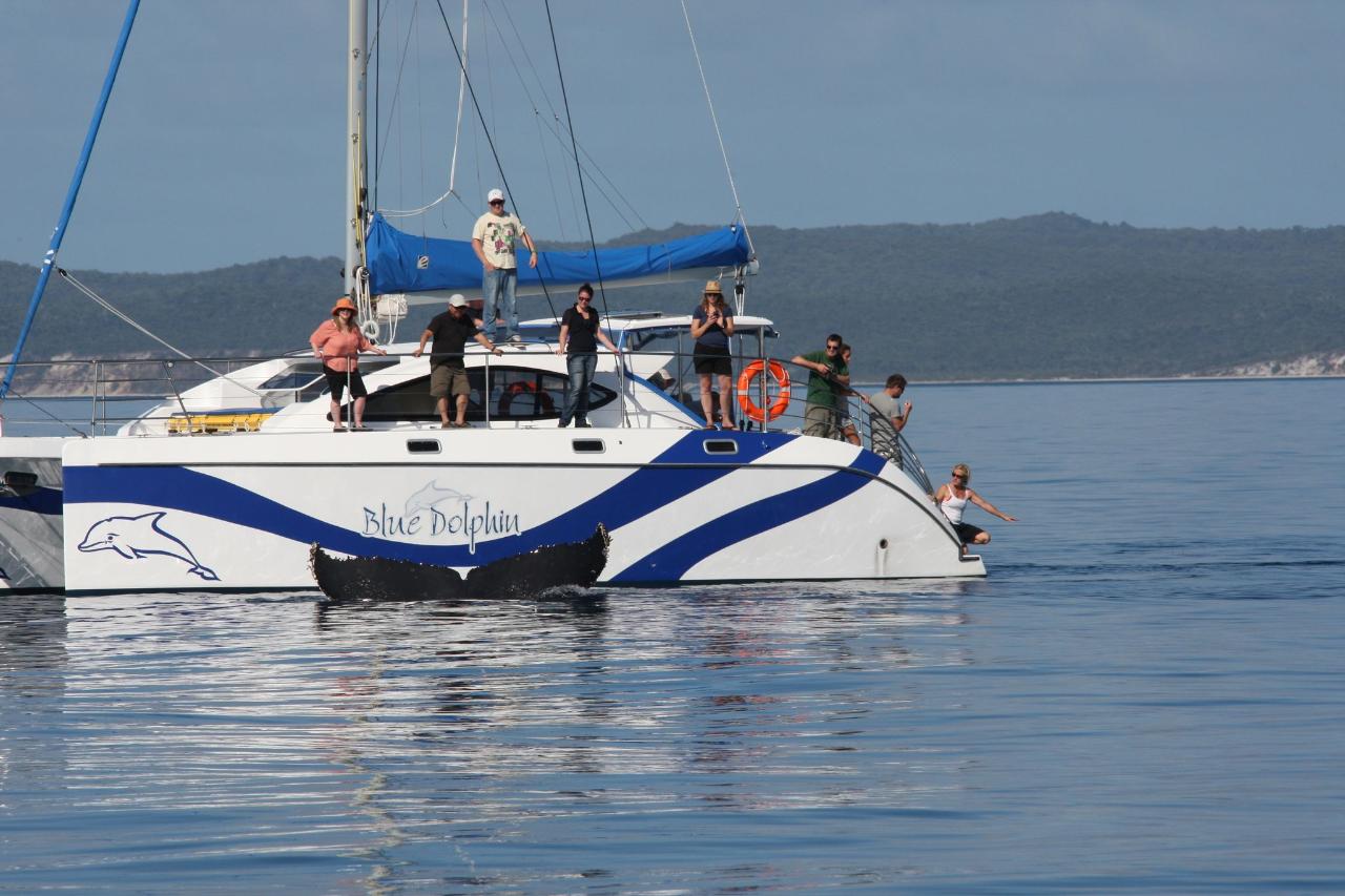 Exclusive Whale Watch and 1 Day Fantastic Fraser Island  Tour