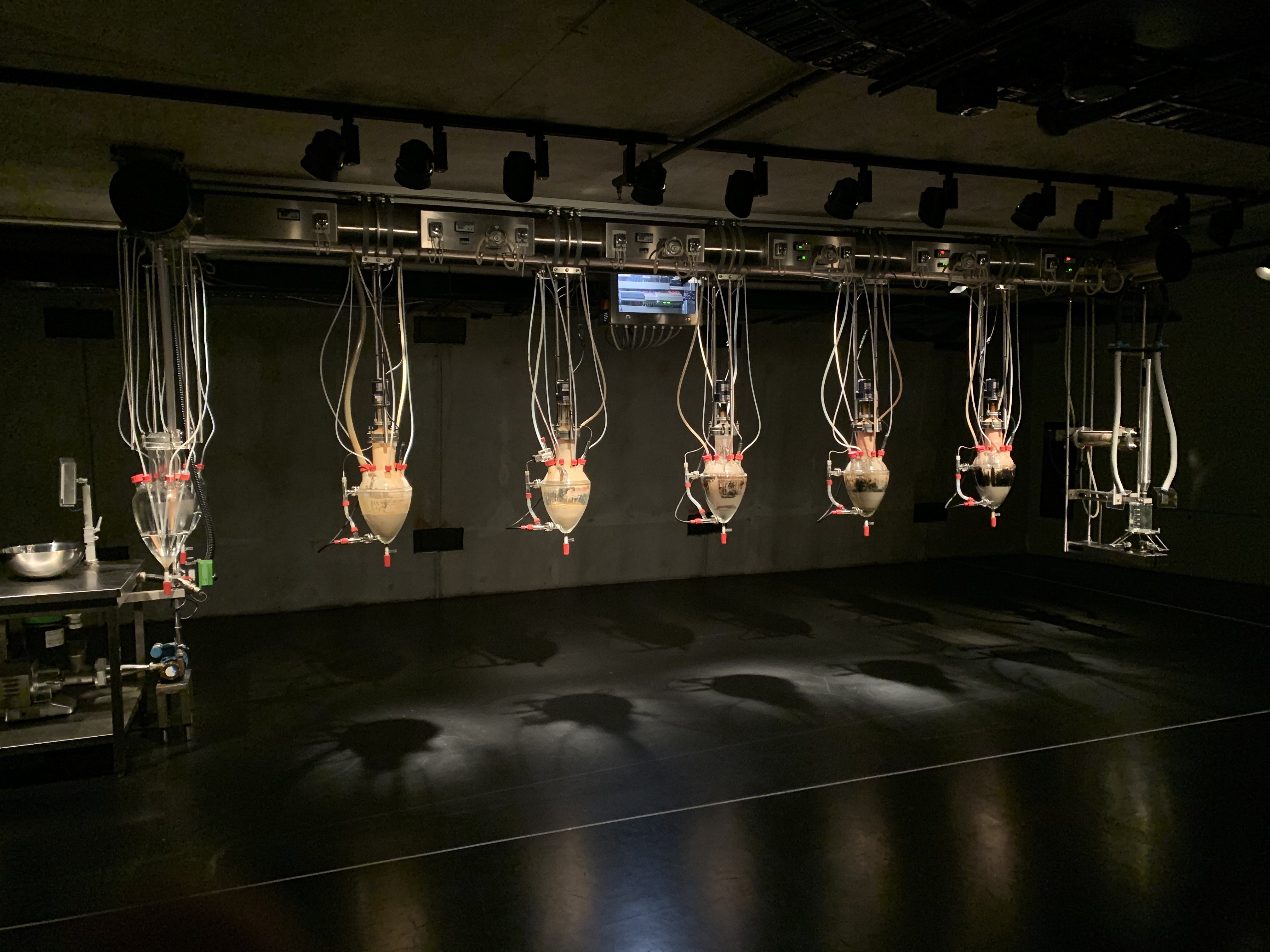 Mona and Wine Experience Tour (Sun and Mon)