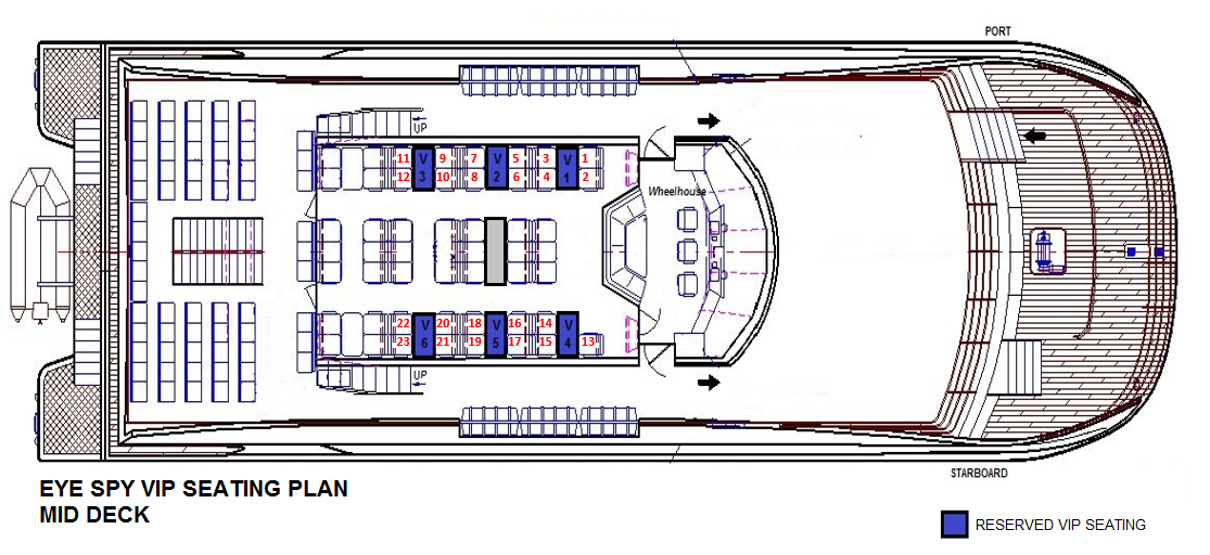 VIP Whale Watching Adventure - Ex Brisbane