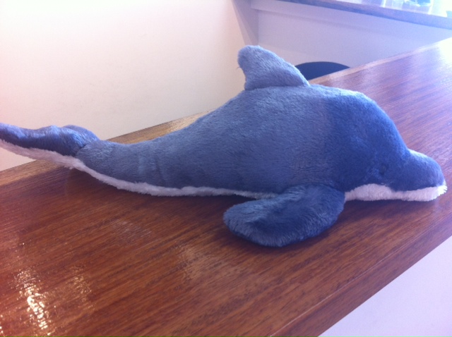 Dolphin Soft Toy - 35cm