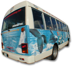 PREMIUM Whale Watching Adventure - Ex Brisbane