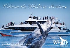 2023 Season Pass - Whale Watching Adventure