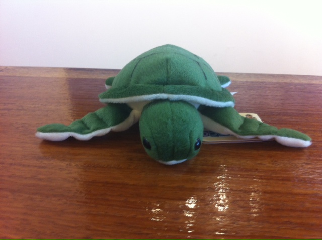 Turtle Soft Toy - 18cm