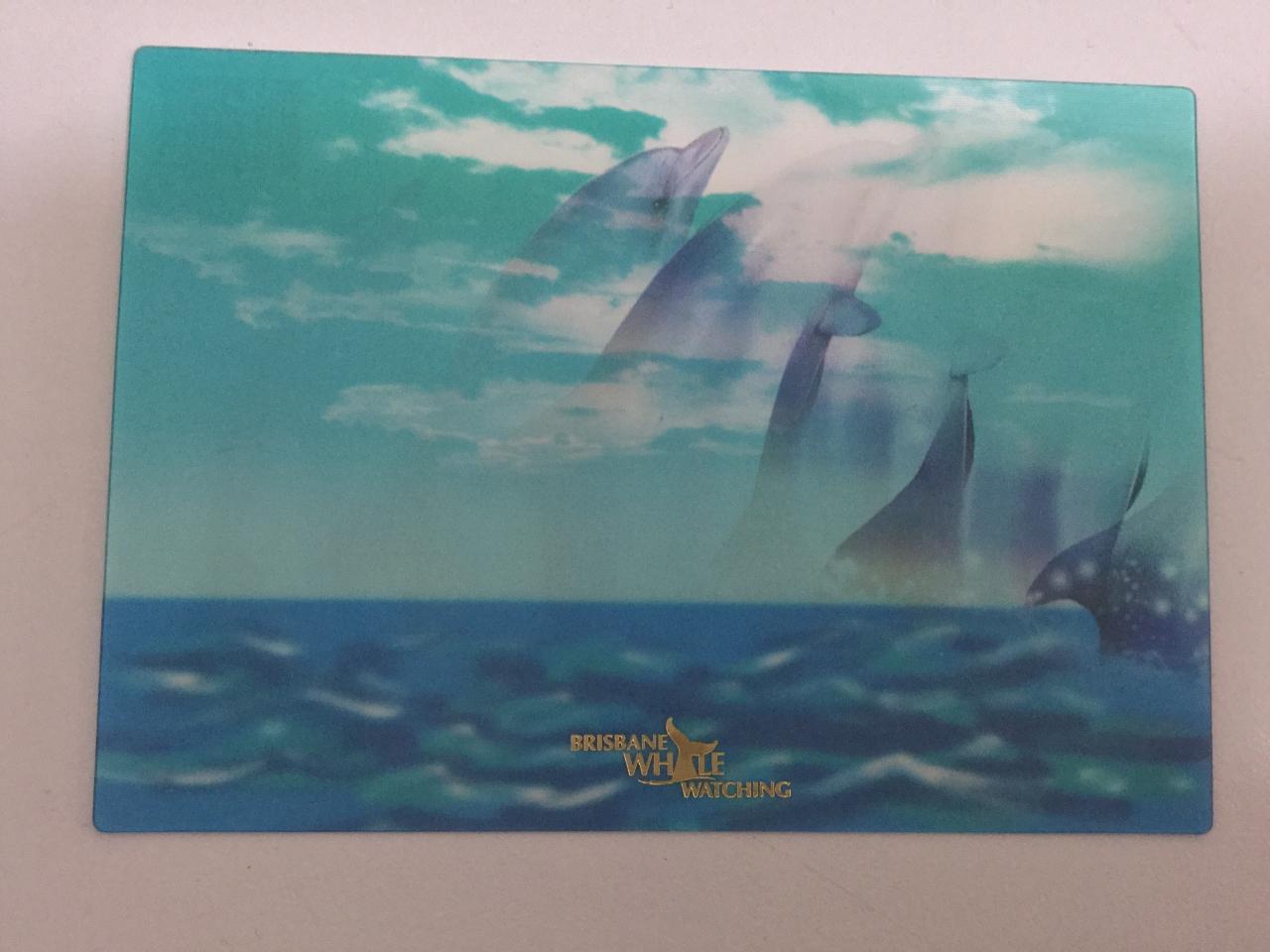 3D Dolphin Postcard