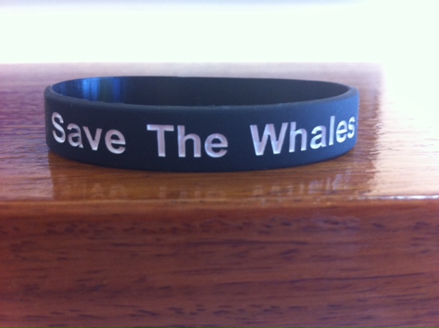 Save the Whales Wristband