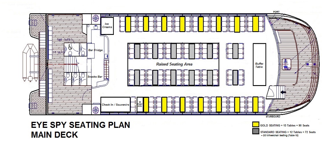 PREMIUM Whale Watching Adventure - Ex Brisbane CBD