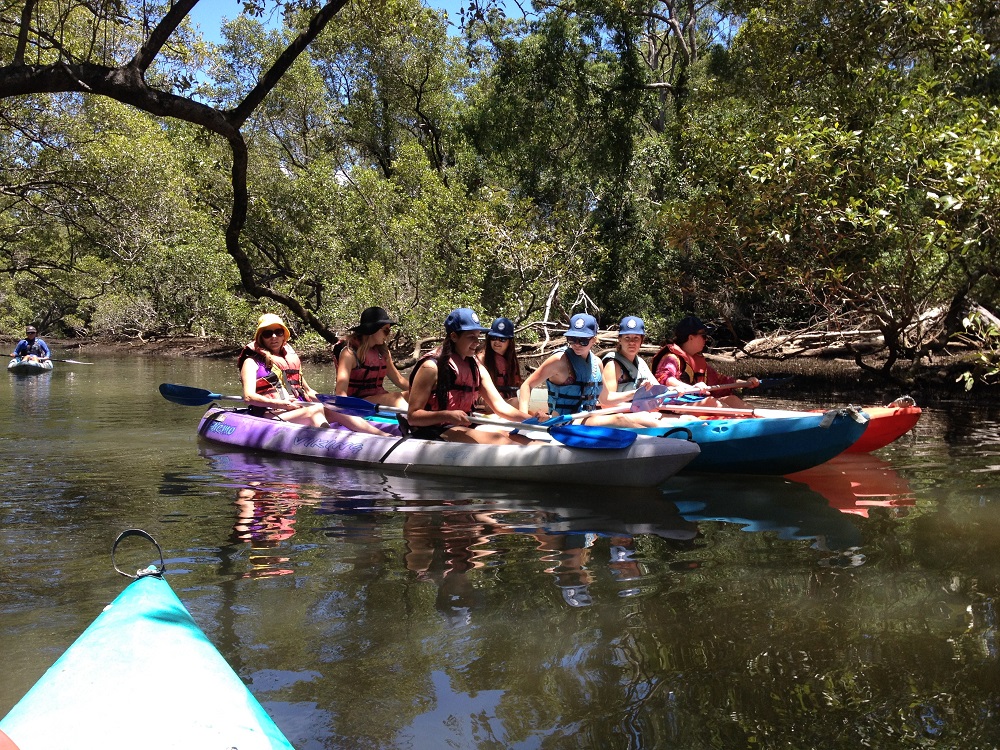 Eco Kayak or SUP Tour