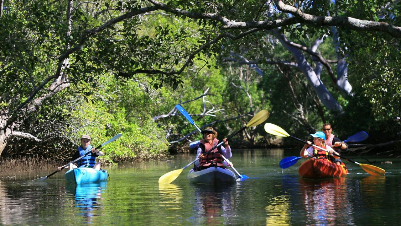 kayak cruise booking