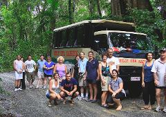 Daintree, Cape Tribulation & 4WD Bloomfield Track