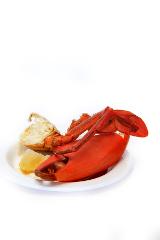 Catchacrab  crab tasting 