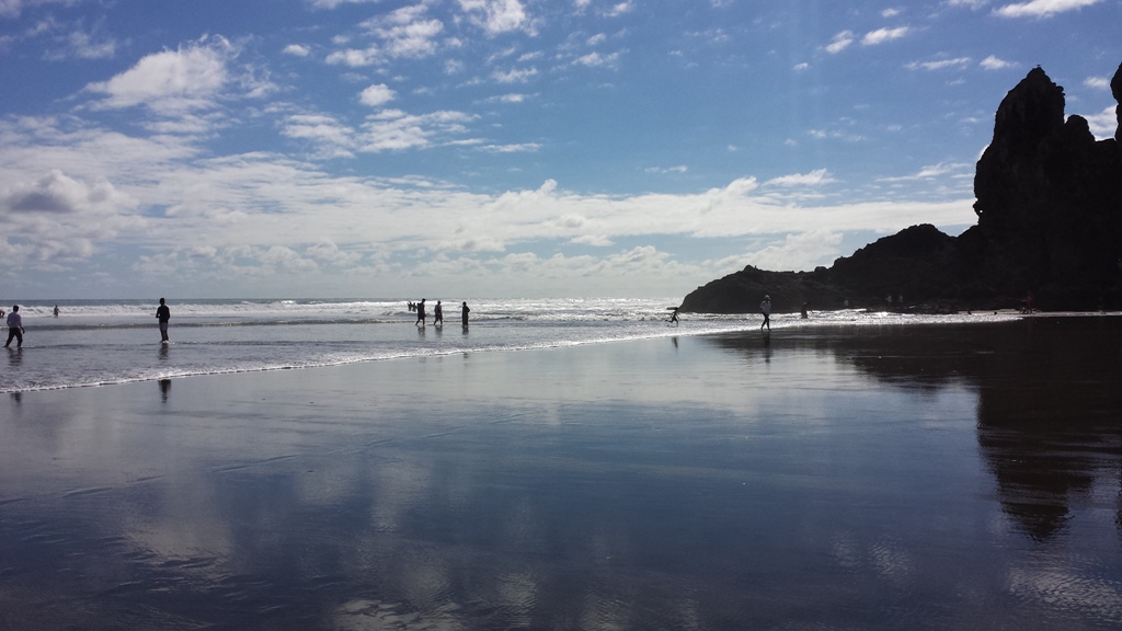 West Auckland -  Piha & KiteKite Falls Tour