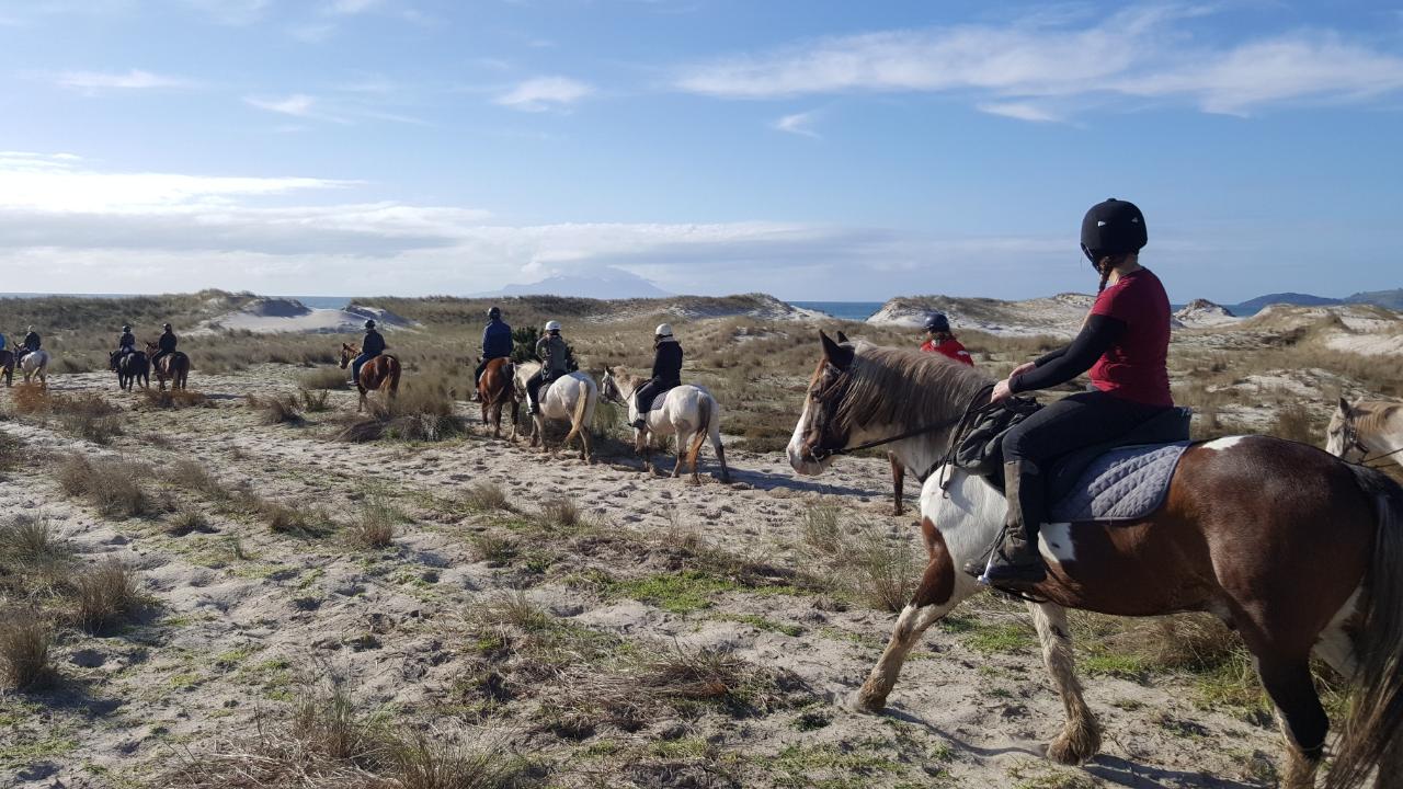 North Auckland - Pakiri Beach Horse Riding