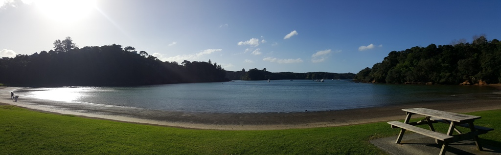 Auckland to or from Bay Of Islands - Private Transfer