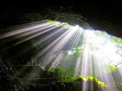 Waitomo Caves Tours - Private Transport