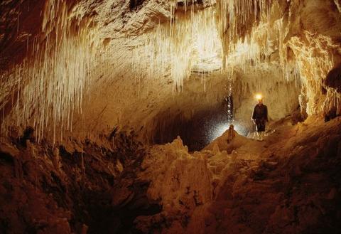 Spellbound Caves, Waitomo