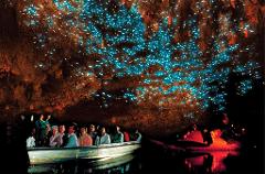 Waitomo Caves Tours - Private Transport