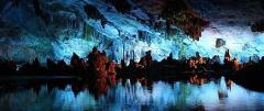 Hobbiton & Waitomo Caves or Spellbound Combo - Private Transport