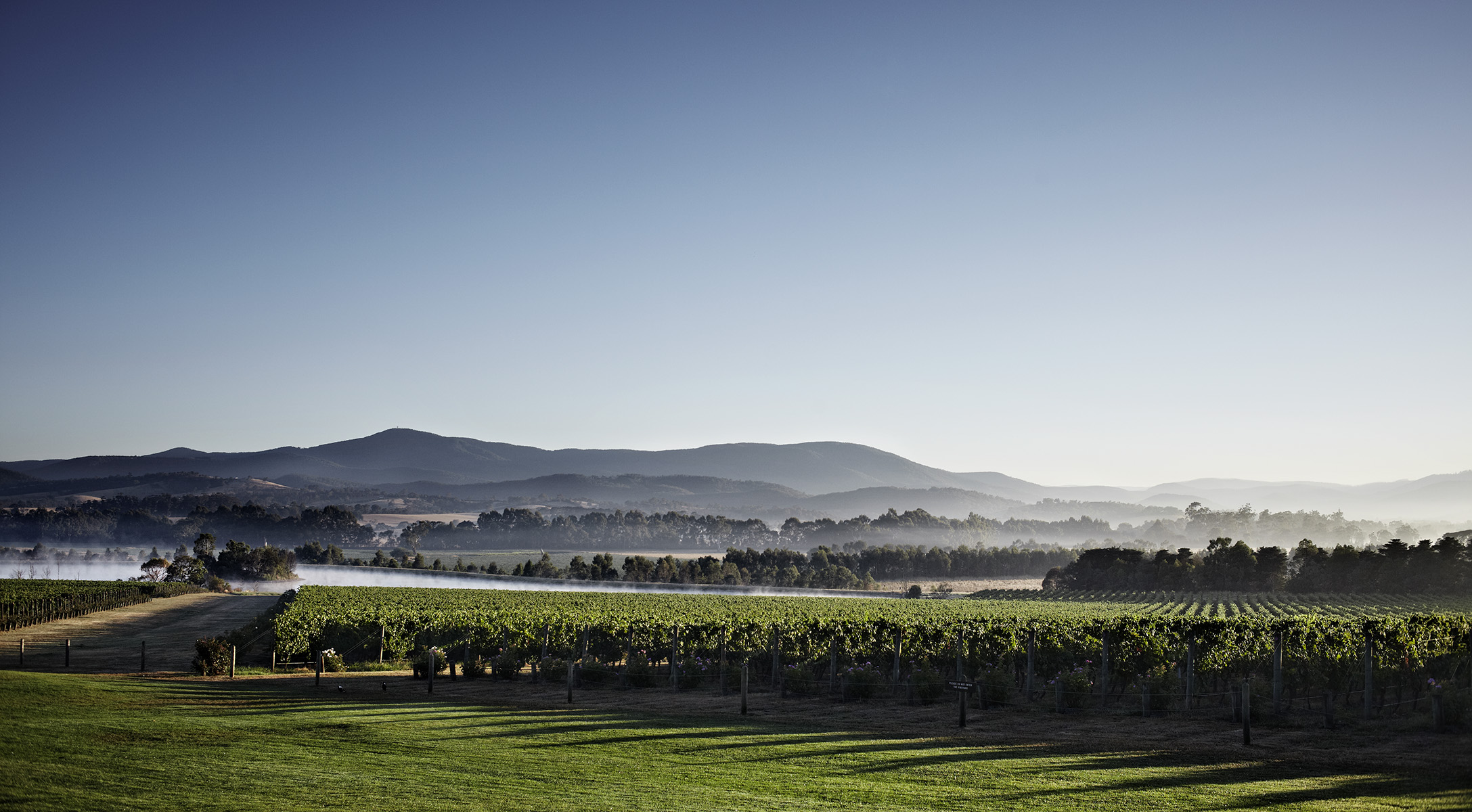 Yarra Valley Private Group Tour