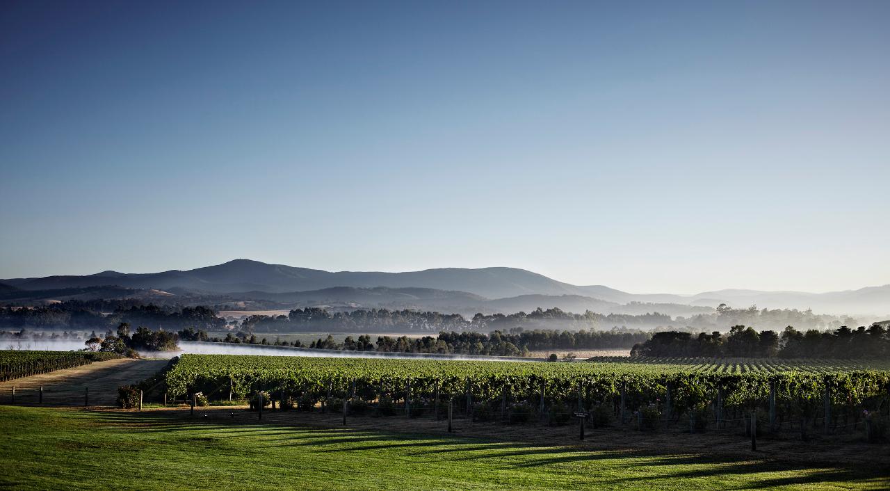 Yarra Valley Private Group Tour