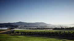 Yarra Valley Private Group Tour