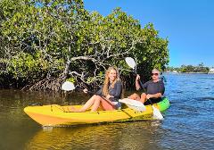 Noosa Heads Kayaking - Hidden Waterways & Wildlife Tour - 2.5 Hours