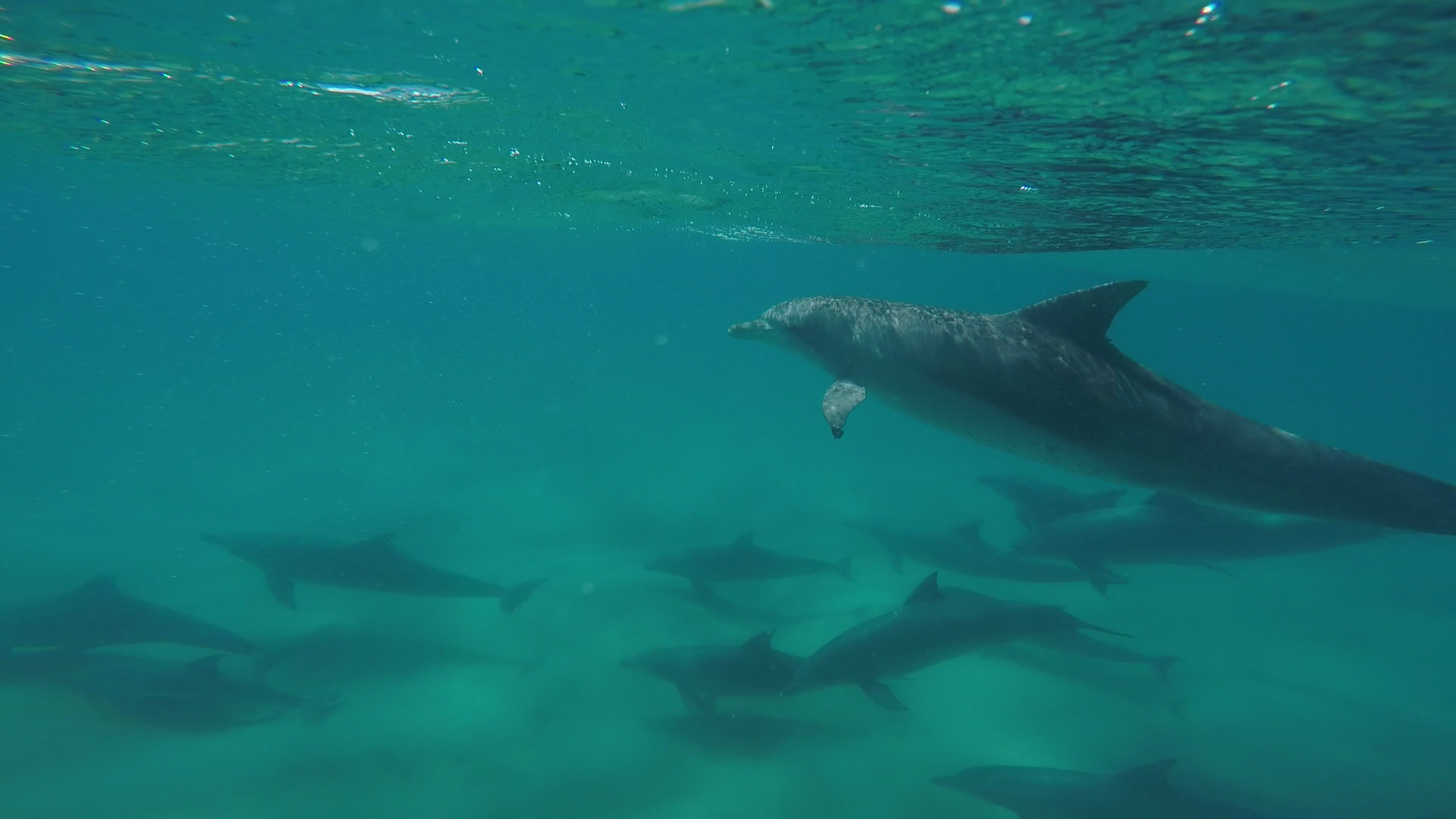 Noosa Private Day Tour - Double Island Point Rainbow Beach Wildlife Adventure