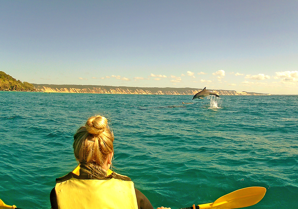 Noosa Private Day Tour - Double Island Point Rainbow Beach Wildlife Adventure