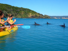Noosa: Epic Dolphin Ocean Kayak Tour & Beach 4X4 Adventure