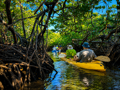 Noosa Hidden Waterways & Wildlife Kayak Tour - (Self Guided)