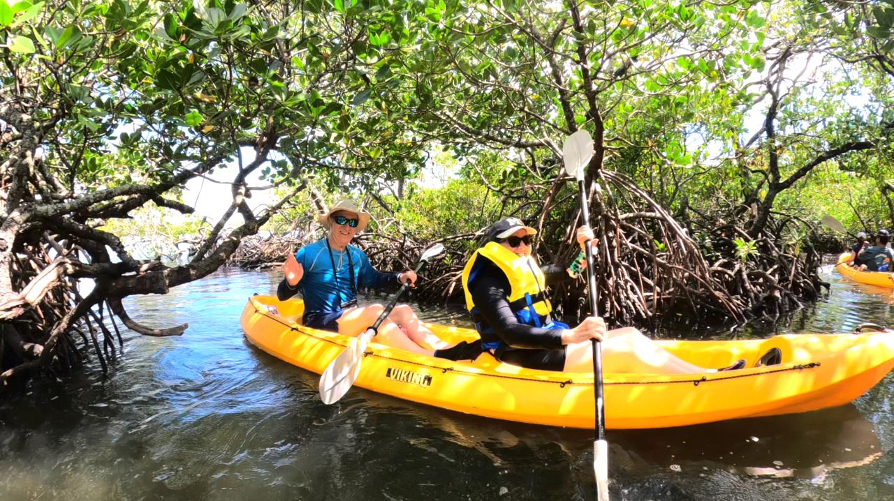 Noosa Heads: Hidden Waterways & Wildlife Kayak Tour - 2 Hours