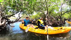 Noosa Heads: Hidden Waterways & Wildlife Kayak Tour - 2 Hours