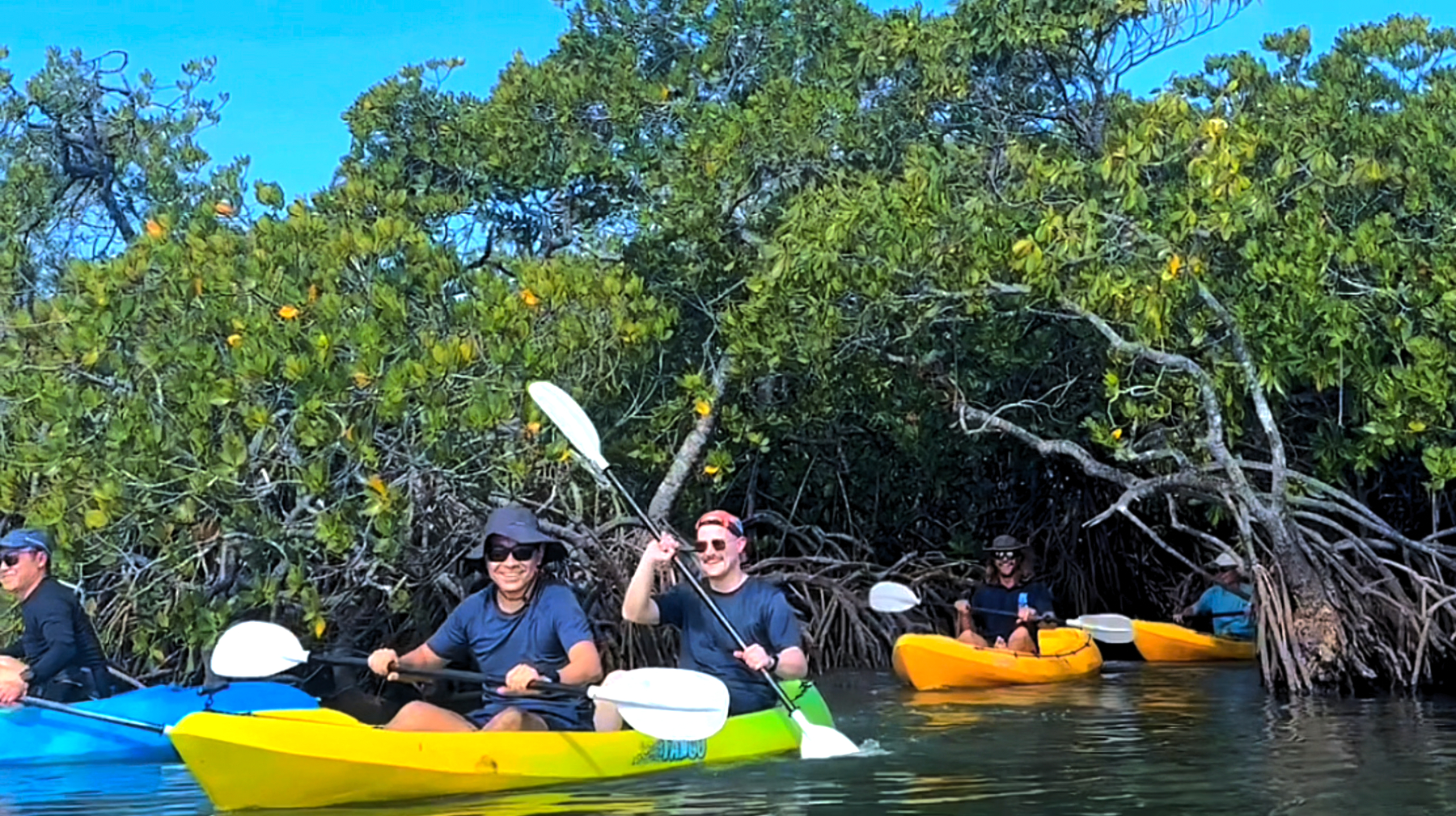 Noosa Heads: Mangrove Tunnel Kayak Eco-Tour - 2 Hours
