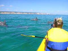 Noosa Dolphin View Sea Kayak & Beach 4X4 Adventure -  Day Tour