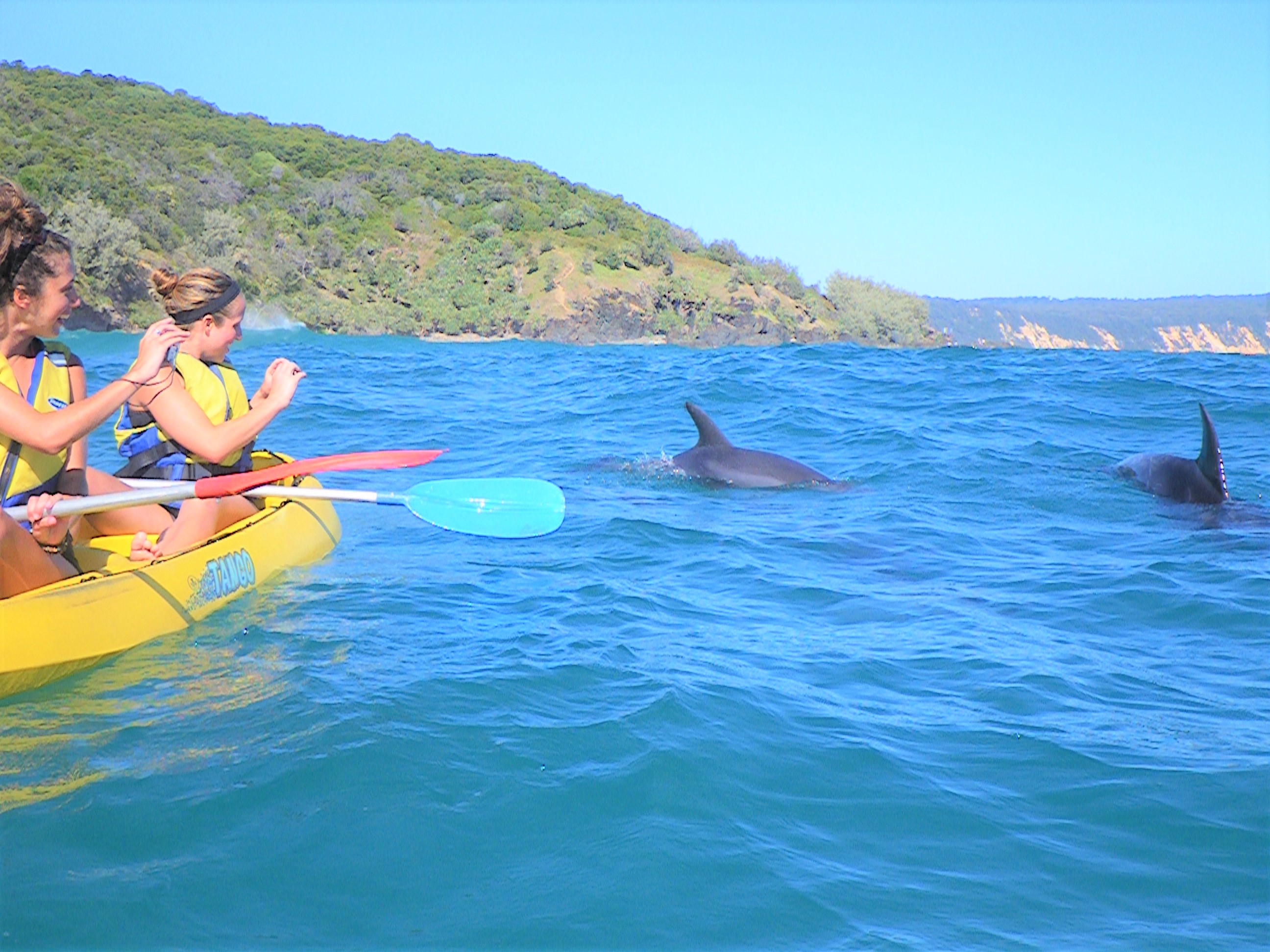 Noosa Dolphin View Sea Kayak & Beach 4X4 Adventure -  Day Tour