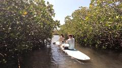 Noosa Stand Up Paddle & Mangrove Tunnel Tour - (Fully Guided / Self Guided / Private)