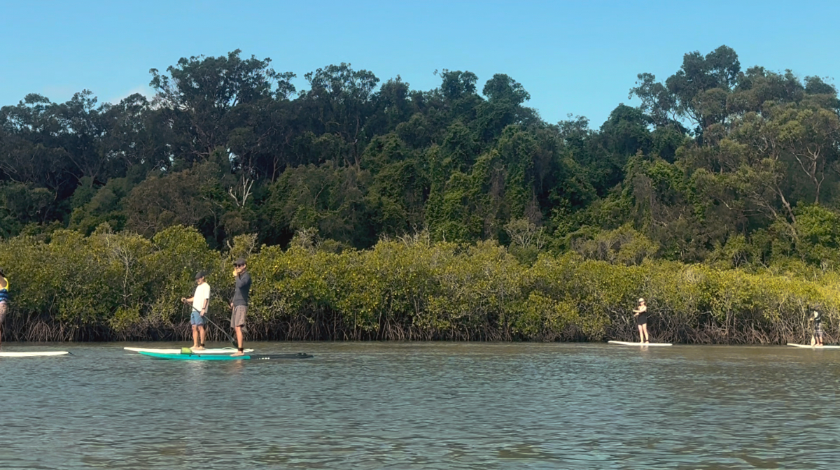 Stand Up Paddle Hidden Waterways & Wildlife Tour - 2 Hour