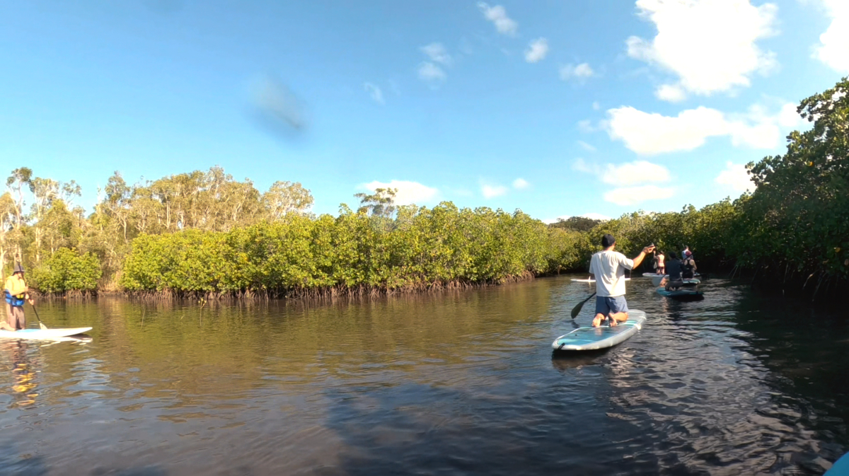 Stand Up Paddle Hidden Waterways & Wildlife Tour - 2 Hour