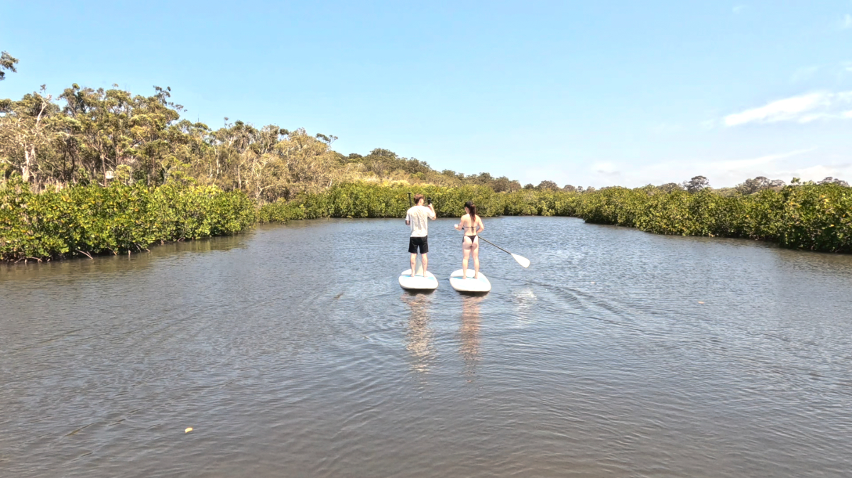 Stand Up Paddle Hidden Waterways & Wildlife Tour - 2 Hour