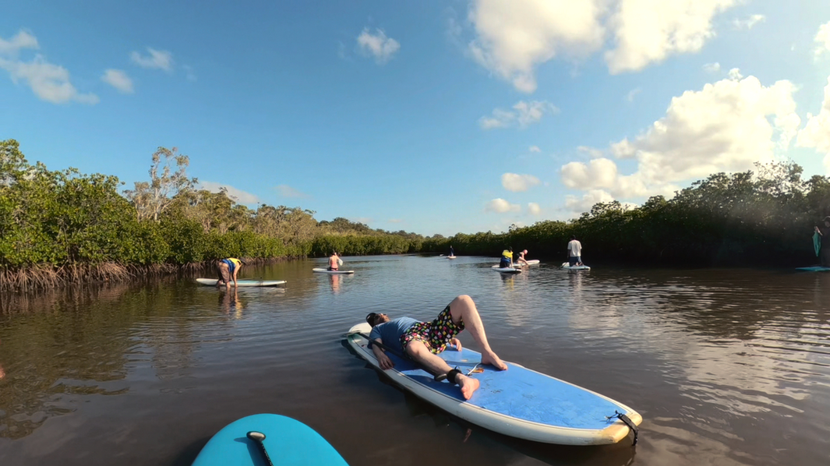 Stand Up Paddle Hidden Waterways & Wildlife Tour - 2 Hour