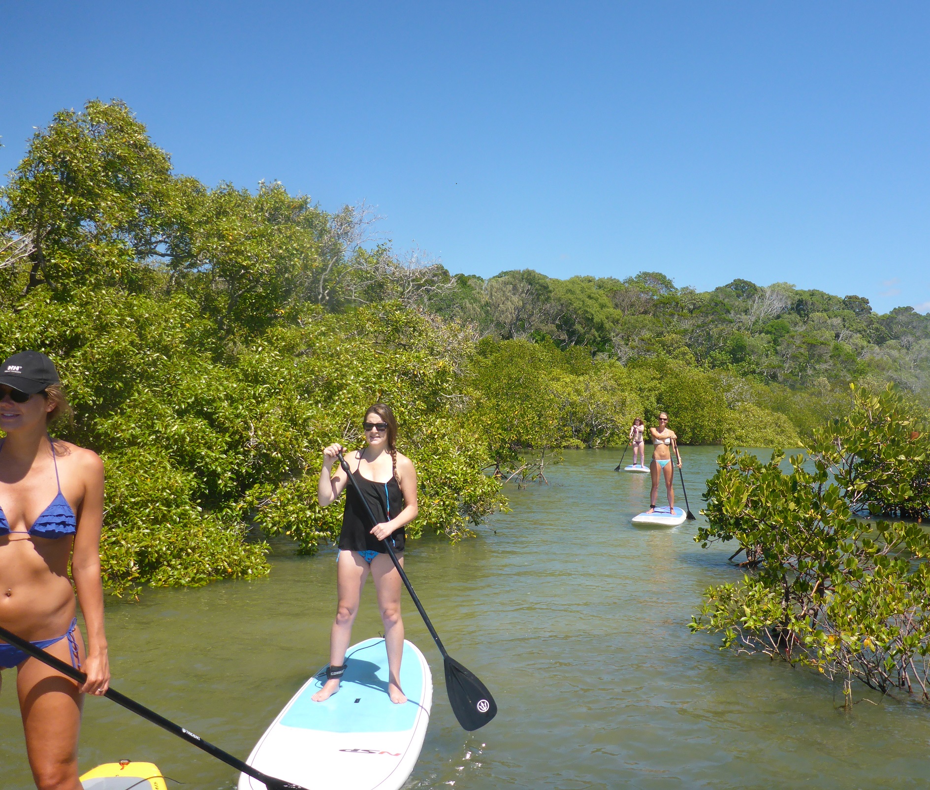 Stand Up Paddle Tour / Lesson Noosa Heads  - 2 Hour