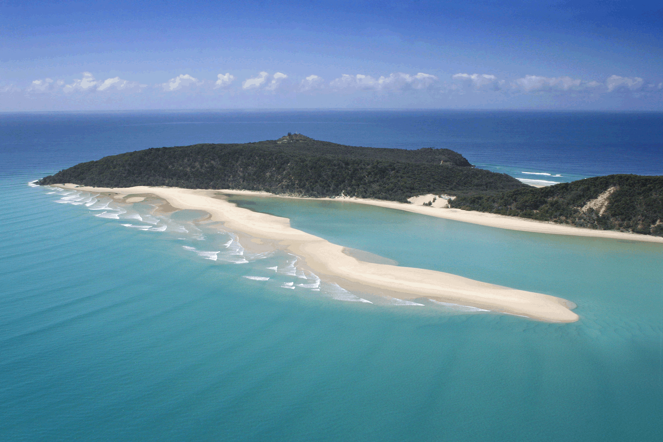 Learn to Surf Australia’s Longest Wave + Great Beach Drive Adventure - Noosa  day trip