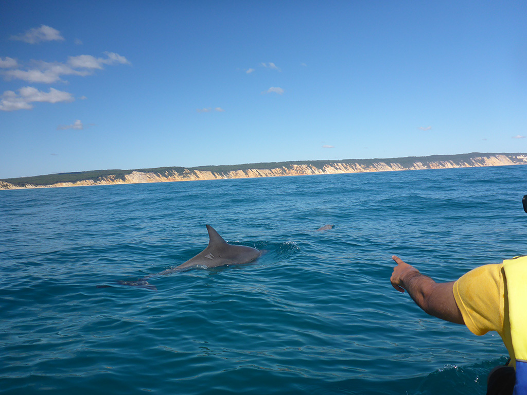 Noosa Dolphin View Sea Kayak & Beach 4X4 Adventure -  Day Tour