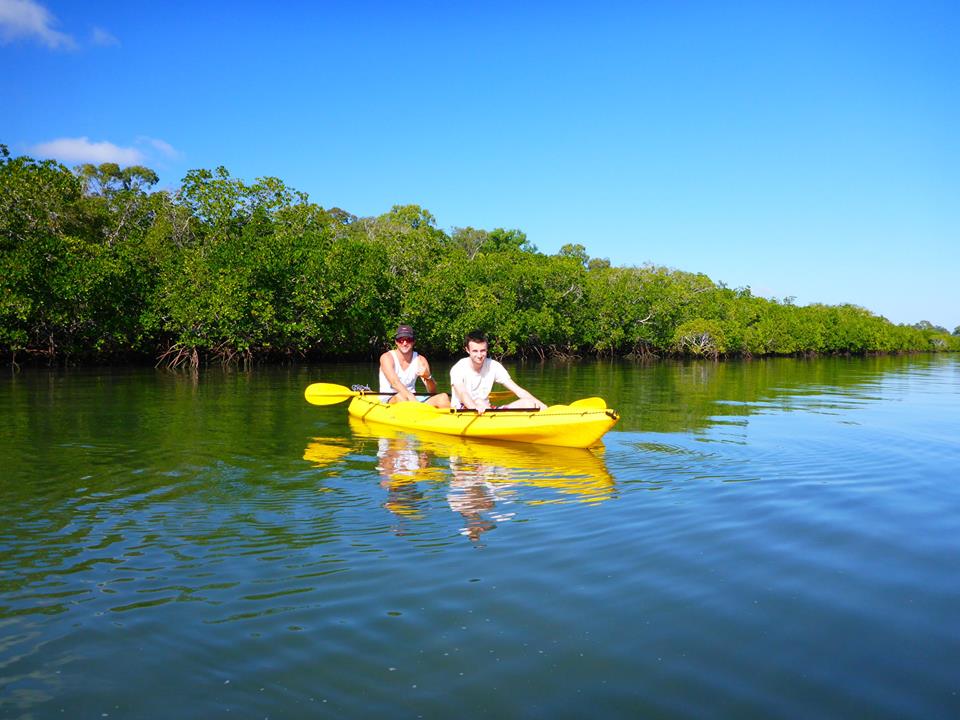 Turtle View Kayak Tour - Rainbow Beach