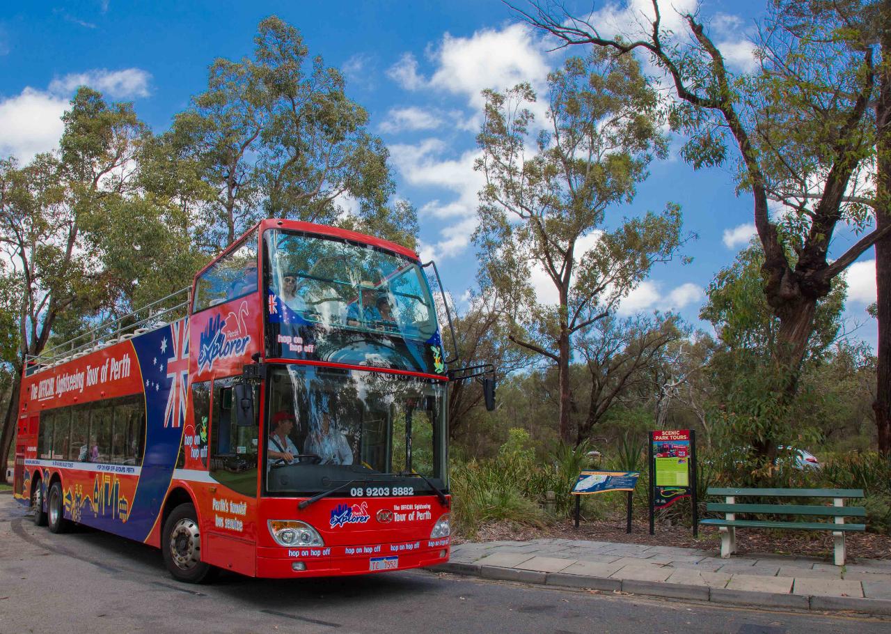 Perth and Kings Park Hop-on-Hop-off - 24 Hours