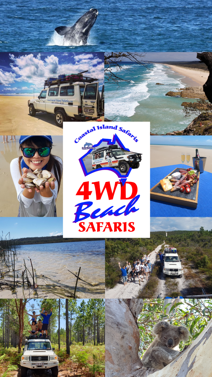 4WD Beach Safari - Brisbane Pick up