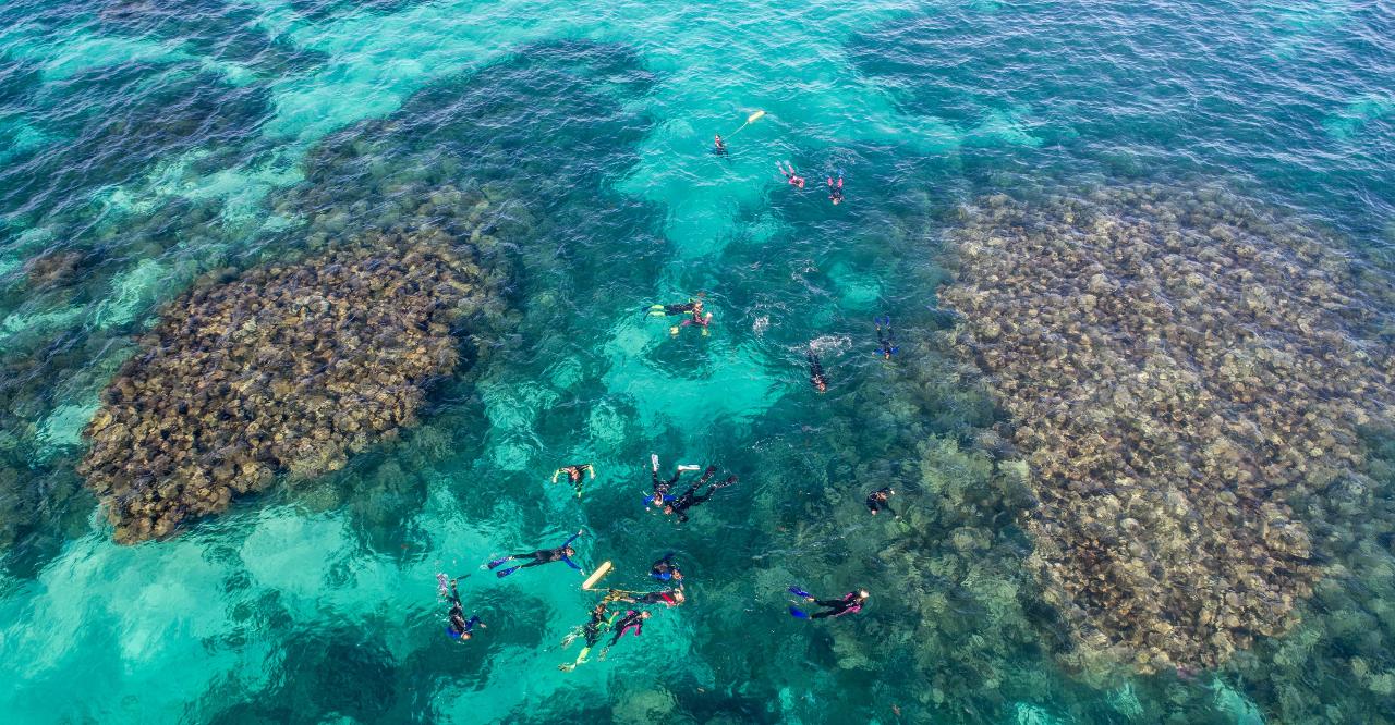 2 Hr Coral Viewing and Snorkeling