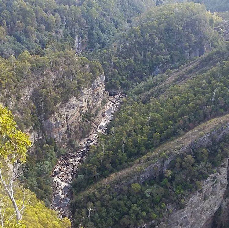 One Day Leven Canyon, Gunns Plains Cave OR Wildlife Tour